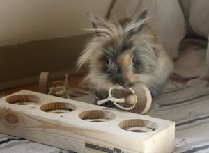 jeu-einsteinchen-07-mini.jpg