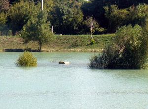 le-lac-1.jpg