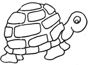 tortue07