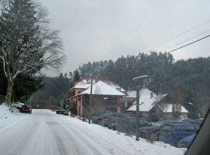 PICT0900
