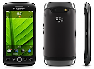 blackberry_torch2.png