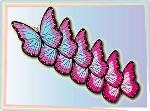 Papillon-Adobe-Illustrator.jpg