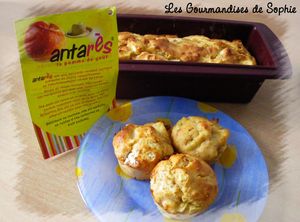 cake pommes figues cannelle (2) 181209