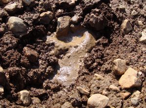 Bolanos---volcan-boue.jpg
