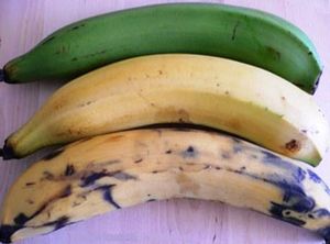 banane-plantain mur