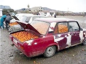 1-Auto-tomates.jpg