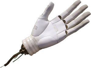 Image-823.png