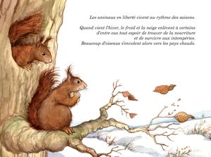Marmotte1.jpg