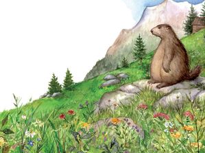 Marmotte8.jpg
