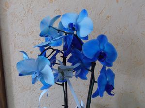 DSCF2842.JPG