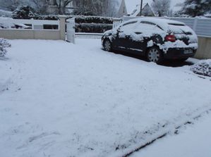 DSCF3522.JPG