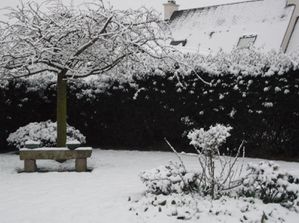 DSCF3525.JPG