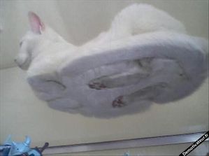 2012_04_14_chat.jpg