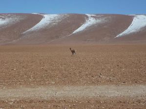 03tatio0280