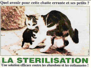 chat3