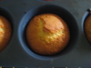 patmamy12-1265.JPG