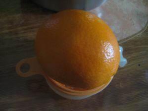 pot-285.jpg