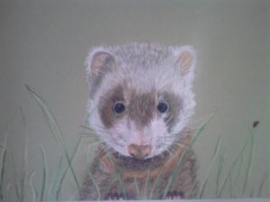 Photo0053