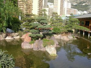 SANY0025.jpg