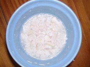 DSCN0459