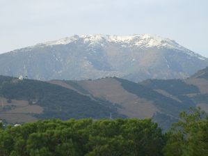 abeilles-2009.JPG