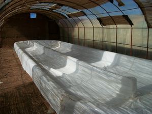 100_3701-copie-2.JPG