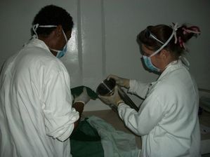 Copie-de-100_7155.JPG