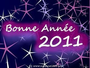 bonne-annee-2011-blacqueville-1-.jpg