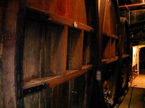 IMG00445-20100210-1120.jpg