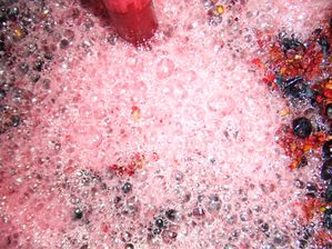 Mourvèdre mousse