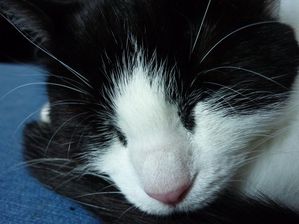 P1000200.JPG
