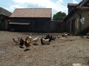 Cour de la ferme Jaglea
