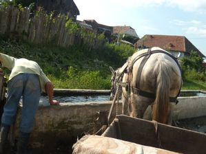 Pause eau!
