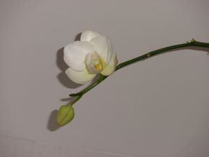 Image022.jpg