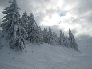 fevrier-5922.JPG