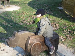 photos diverses et variees 4271