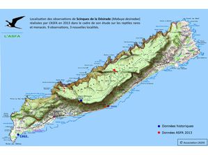 carto asfa scinques de la Désirade 2013