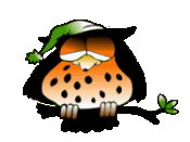 hibou3