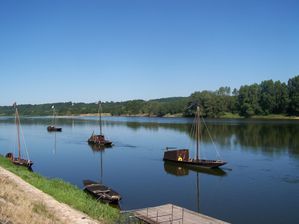 bords de loire 07 2010 026