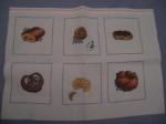 toile-gourmandise finie