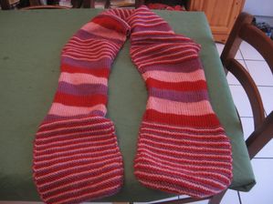 Echarpe tricolore 1