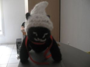 KAL Chat Halloween fini