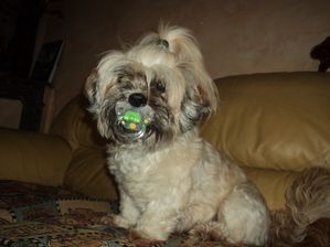 13 07 2011 006