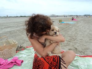 13 septembre 2011 154
