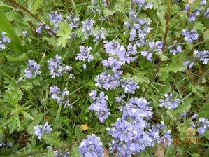 DSCN0578.JPG