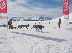 IMG_3702-copie-1.JPG