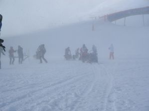 IMG_3710.JPG