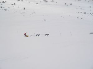 IMG_3713.JPG