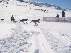 IMG_3807.JPG