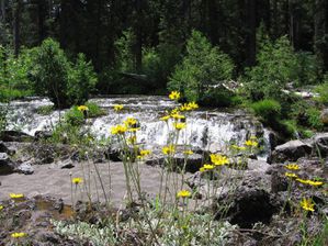 Rogue-river.jpg